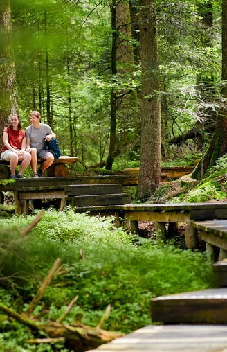 Seelensteg Heiligkreuz