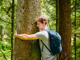 Seelensteg Heiligkreuz