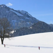 Schüpfer Loipe zum Langlaufen