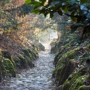 Hohle Gasse in Küssnacht am Rigi
