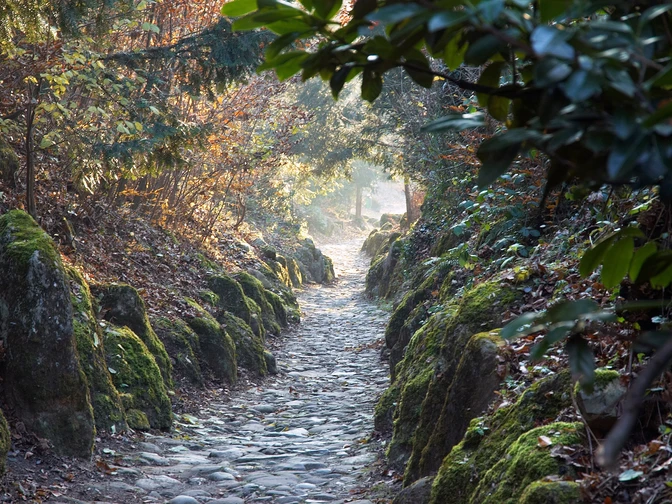 Hohle Gasse in Küssnacht am Rigi