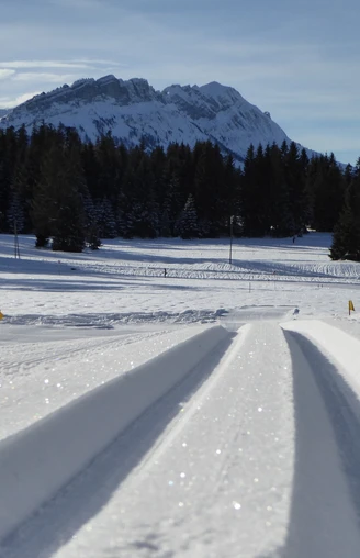 Loipe Nesslenbrunnenboden