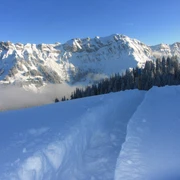 Schneeschuhtrail auf die First. Im Hintergrund die Schafmatt.