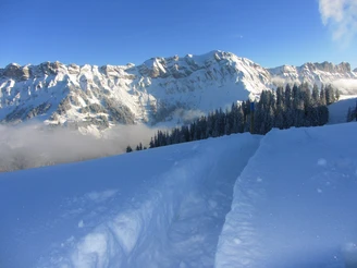 Schneeschuhtrail auf die First. Im Hintergrund die Schafmatt.
