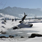 Am Weiher vorbei gleiten