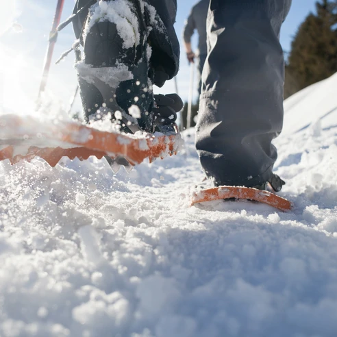 Schneeschuhlaufen Marbach / Marbachegg