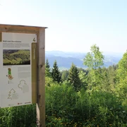 Immer wieder geniesst man eine tolle Aussicht ins Tal