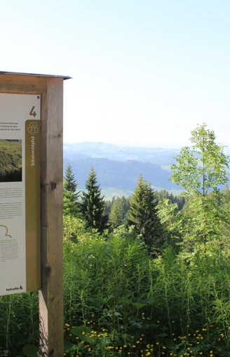 Immer wieder geniesst man eine tolle Aussicht ins Tal