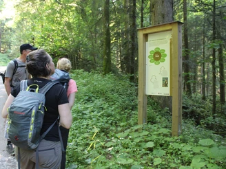 Los geht's - Auf dem Schutzwaldpfad erfährt man viel Spannendes zur Wichtigkeit der Schutzwälder