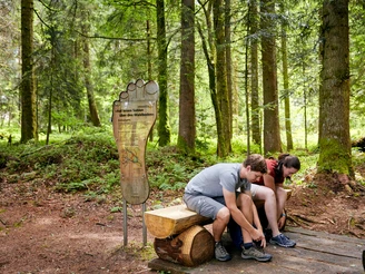 Barfusspfad (Gesundheitspfad) Heiligkreuz