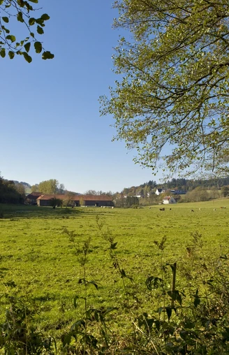 Orketal in Lichtenfels