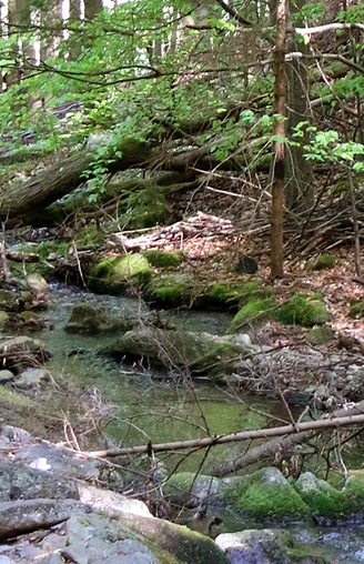 Floßmeister Rungstocktal