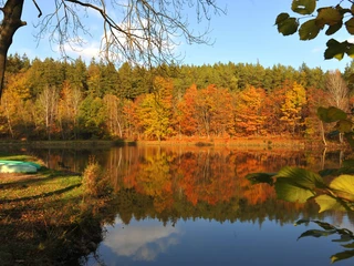 Herbst im Park Leubnitz