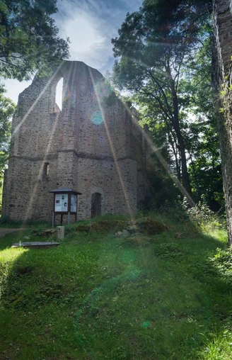 Burgstein Ruine