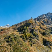 Furggubäumhorn / Punta d'Aurona