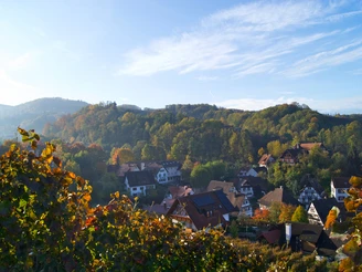Blick aus den Reben über Sasbachwalden