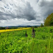 Auf dem Panoramaweg
