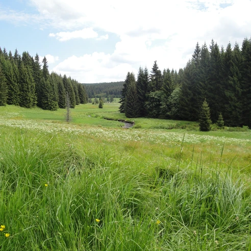 im Tal der Schwarzen Pockau