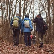 Wandergruppe.jpg Eine Gruppe von Wanderern in Herbstkleidung geht auf einem laubbedeckten Waldweg durch kahles Geäst.