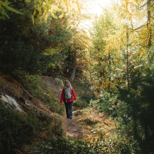 Wanderung vom Fieschertal via Matt zur Fiescheralp