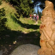 Themenweg Gogwärgi Fiescheralp - Fiesch