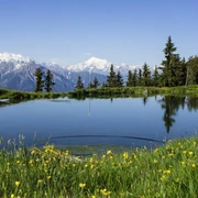 Wanderung von der Fiescheralp via Laxerstafel nach Lax