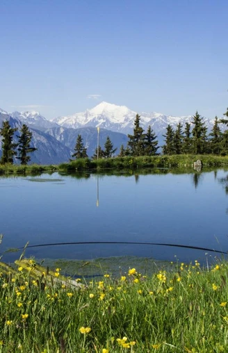 Wanderung von der Fiescheralp via Laxerstafel nach Lax