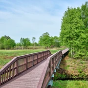 Wanderwege im Ahlenmoor