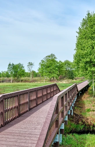 Wanderwege im Ahlenmoor