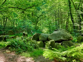 Großsteingräber am Vorgeschichtspfad
