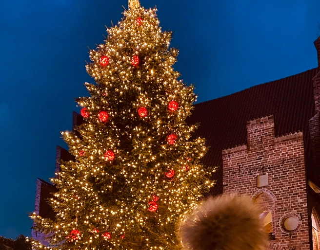 weihnachten Mölln.png