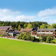 Hotel Grüner Wald****S