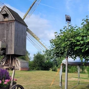Bockwindmühle Wehe  Historische Bockwindmühle Wehe auf grüner Wiese, umgeben von Blumen und Bäumen unter blauem Himmel.