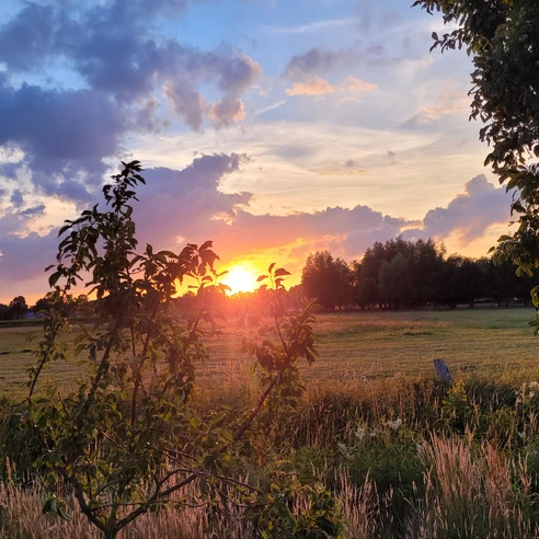 Rahden Stelle Sonnenuntergang über einer grünen Wiese mit Bäumen und Wolken; warme Farben am Himmel.