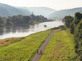 Elberadweg in Bad Schandau