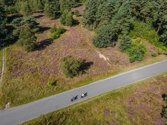 Zwei Radfahrer auf einer schmalen Landstraße durchqueren ein lila blühendes Heidegebiet.