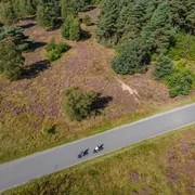 Moosheider Straße in Hövelhof Zwei Radfahrer auf einer schmalen Landstraße durchqueren ein lila blühendes Heidegebiet.