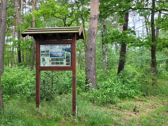 Holztafel mit Wanderinfos, umgeben von dichtem Mischwald. Einige Pfade führen in die grüne Natur.