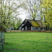 Museumshof Rahden  Museumshof Rahden: Fachwerkhäuser mit Reetdächern umgeben von blühenden Bäumen und einer grünen Wiese.
