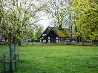 Museumshof Rahden  Museumshof Rahden: Fachwerkhäuser mit Reetdächern umgeben von blühenden Bäumen und einer grünen Wiese.