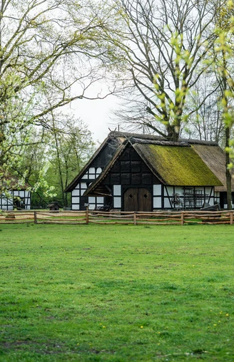 Museumshof Rahden  Museumshof Rahden: Fachwerkhäuser mit Reetdächern umgeben von blühenden Bäumen und einer grünen Wiese.