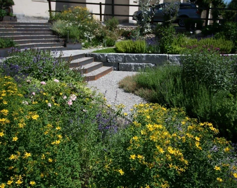 Führung durch den Kräutergarten