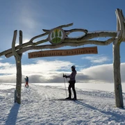 Langlauf in Schellerhau