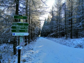 Winterwandern im Gebiet Scharspitze