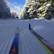 Skifahren auf der Loipe Winter