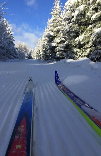 Skifahren auf der Loipe Winter