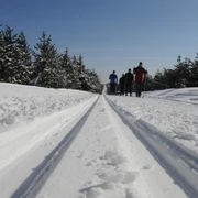 Skifahrer in der Loipe