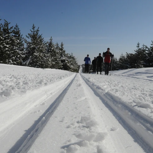 Skifahrer in der Loipe