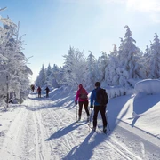 Winter in der Urlaubsregion Altenberg - Langlaufen