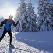 Langlaufen in der Loipe
